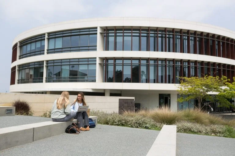 Apply to be a Student Library Representative