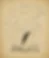 Open book with a quill pen on top, surrounded by words like imagination, believe, and mystery on a beige background, suggesting creativity.